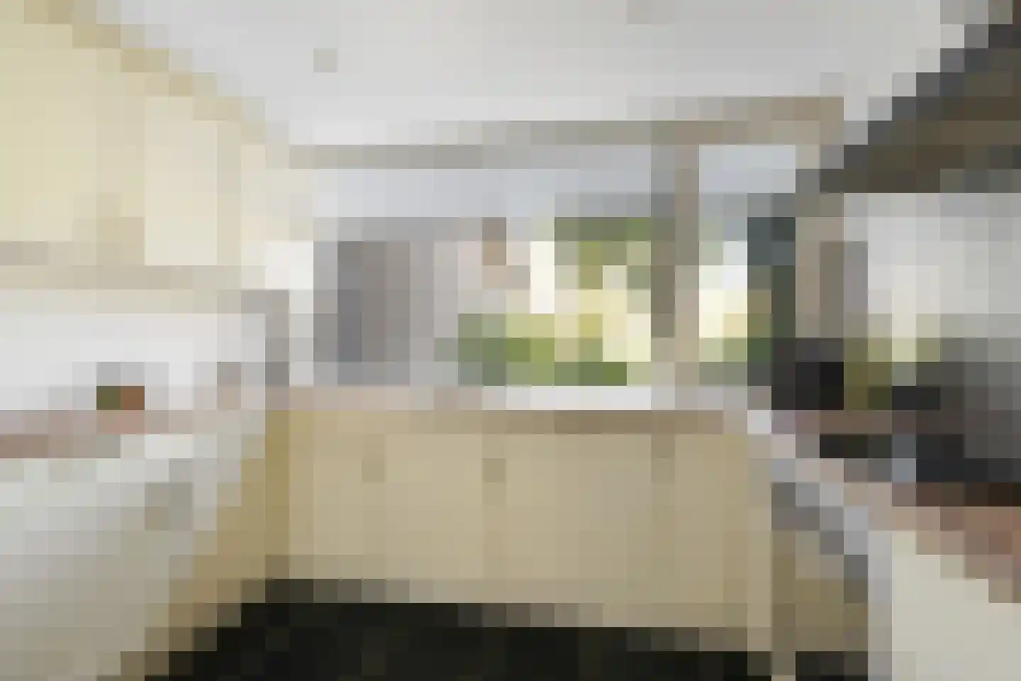 Schutsestraat 19 Prinsenbeek thumbnail 19