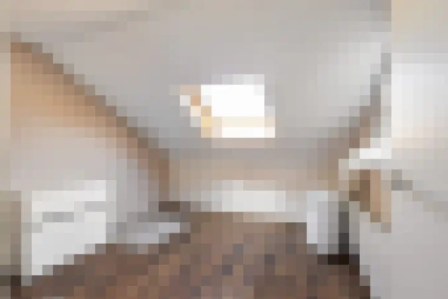 Schutsestraat 19 Prinsenbeek thumbnail 25