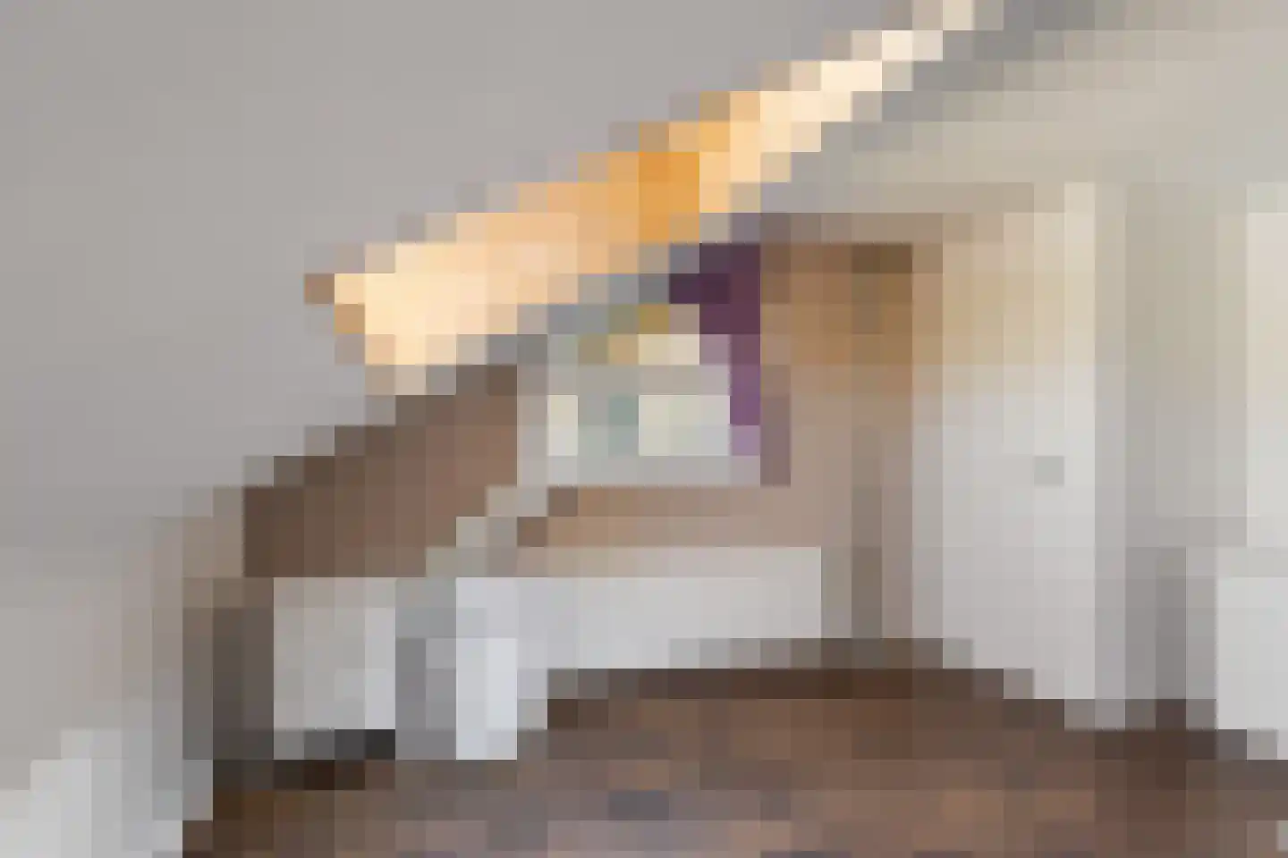 Schutsestraat 19 Prinsenbeek thumbnail 27