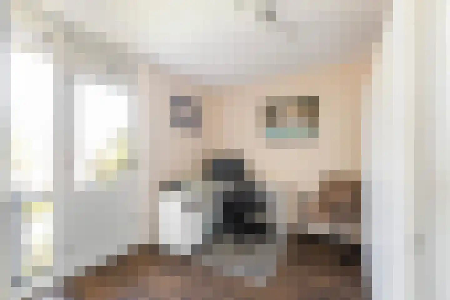Schutsestraat 19 Prinsenbeek thumbnail 28