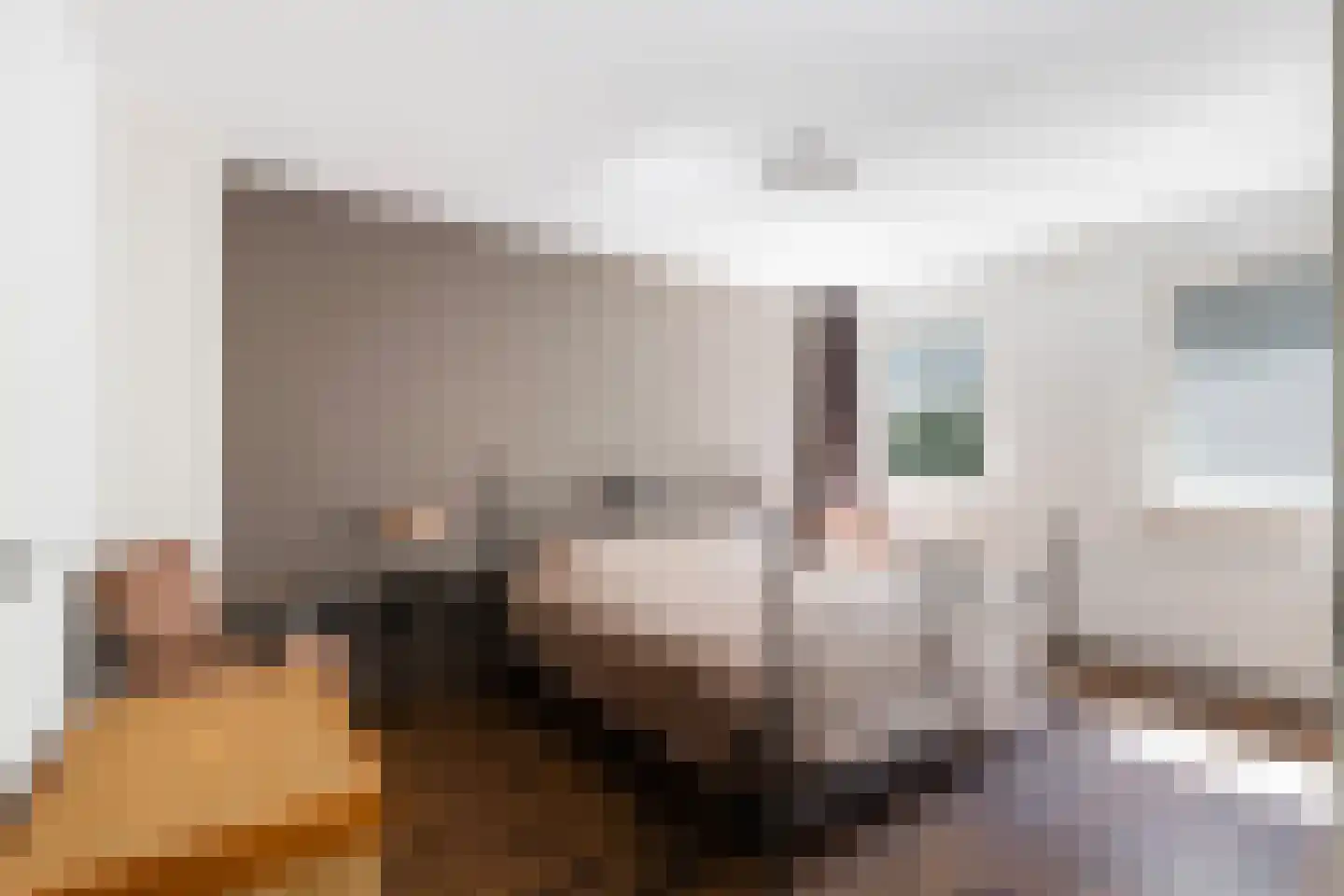 Schutsestraat 19 Prinsenbeek thumbnail 30