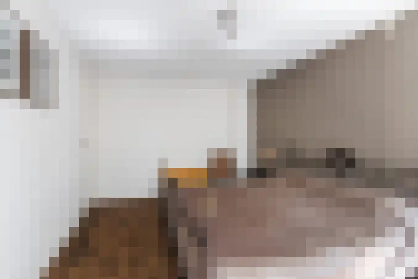 Schutsestraat 19 Prinsenbeek thumbnail 31
