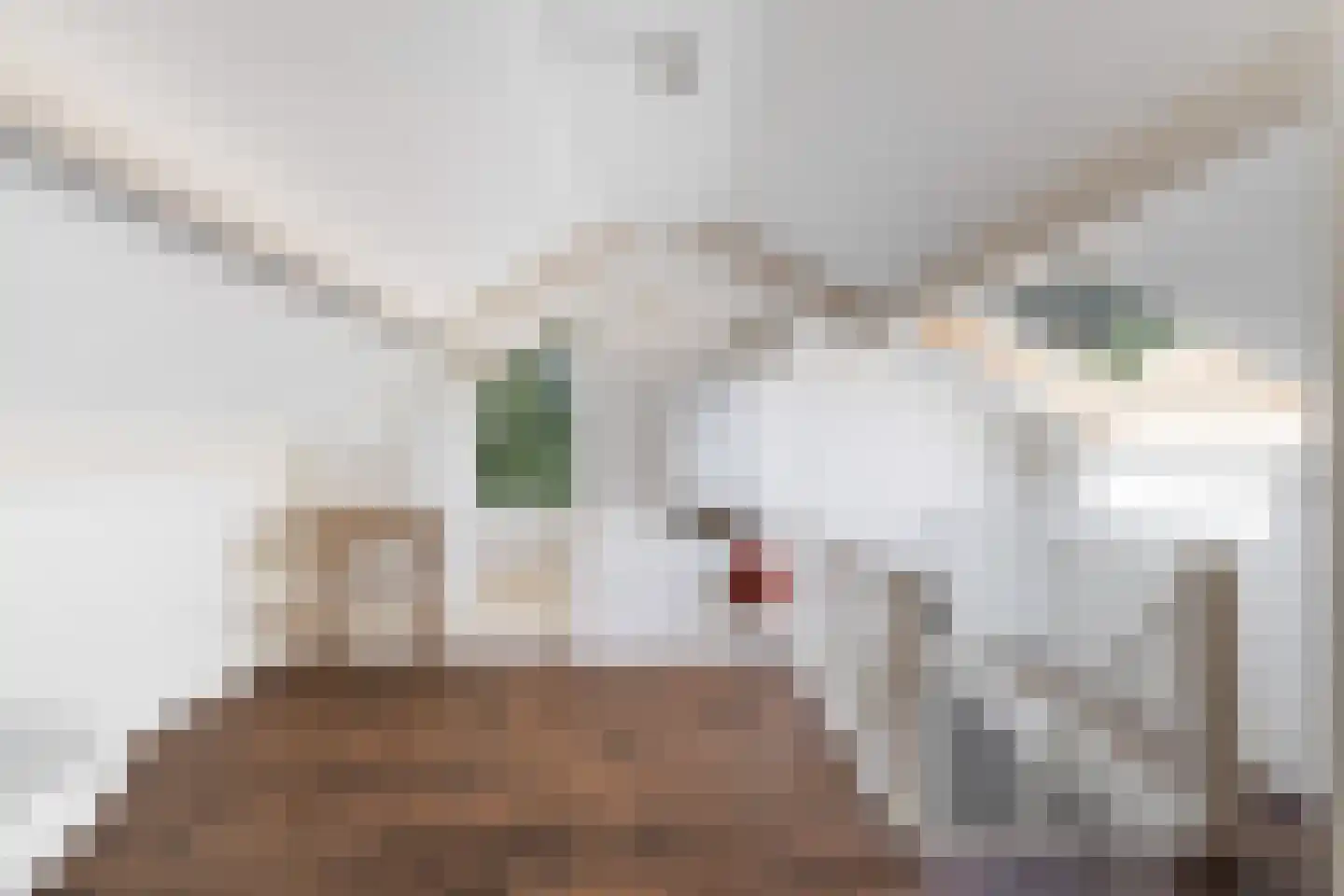 Schutsestraat 19 Prinsenbeek thumbnail 36