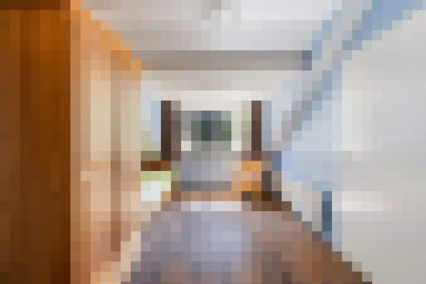 Schutsestraat 19 Prinsenbeek thumbnail 38