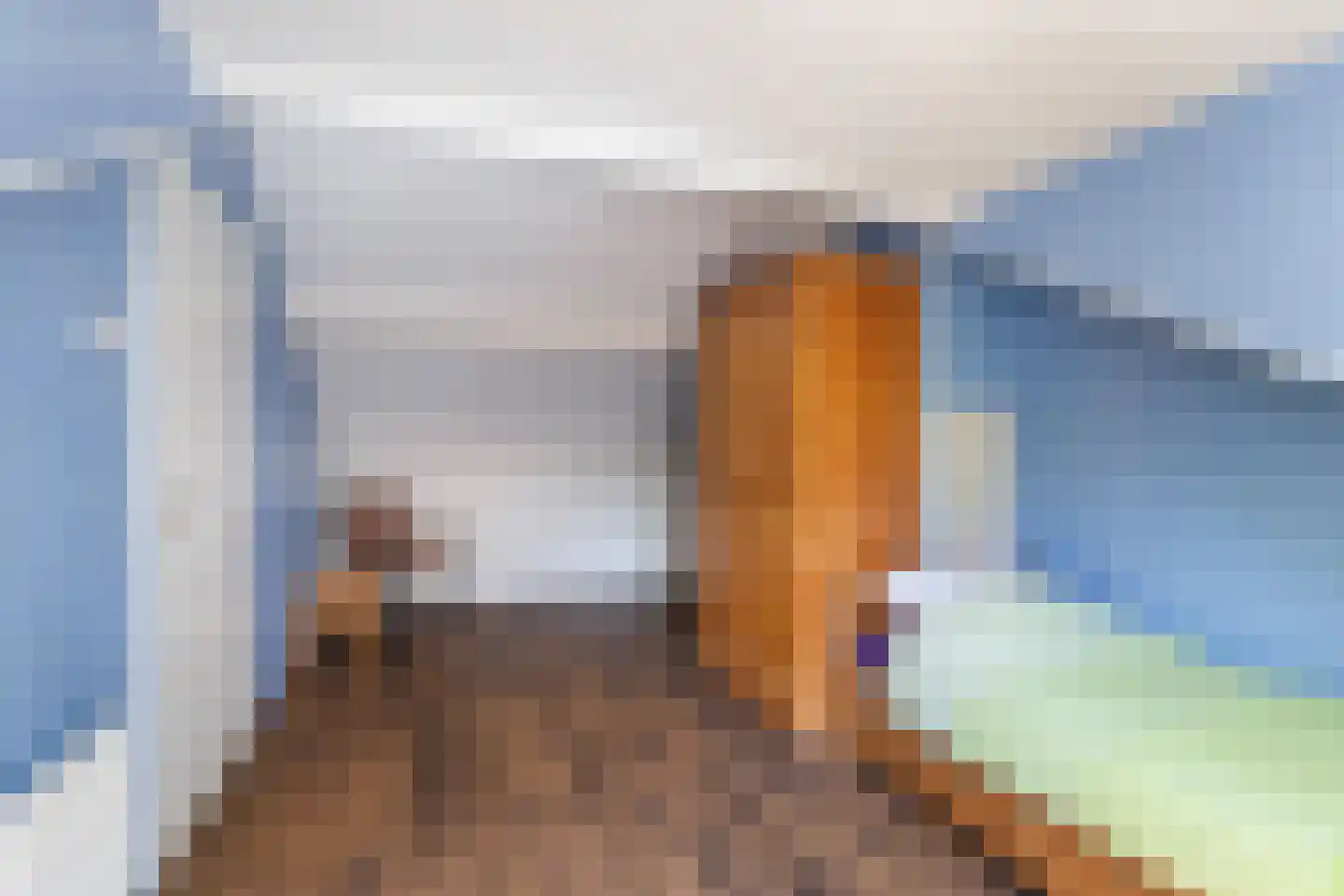 Schutsestraat 19 Prinsenbeek thumbnail 40
