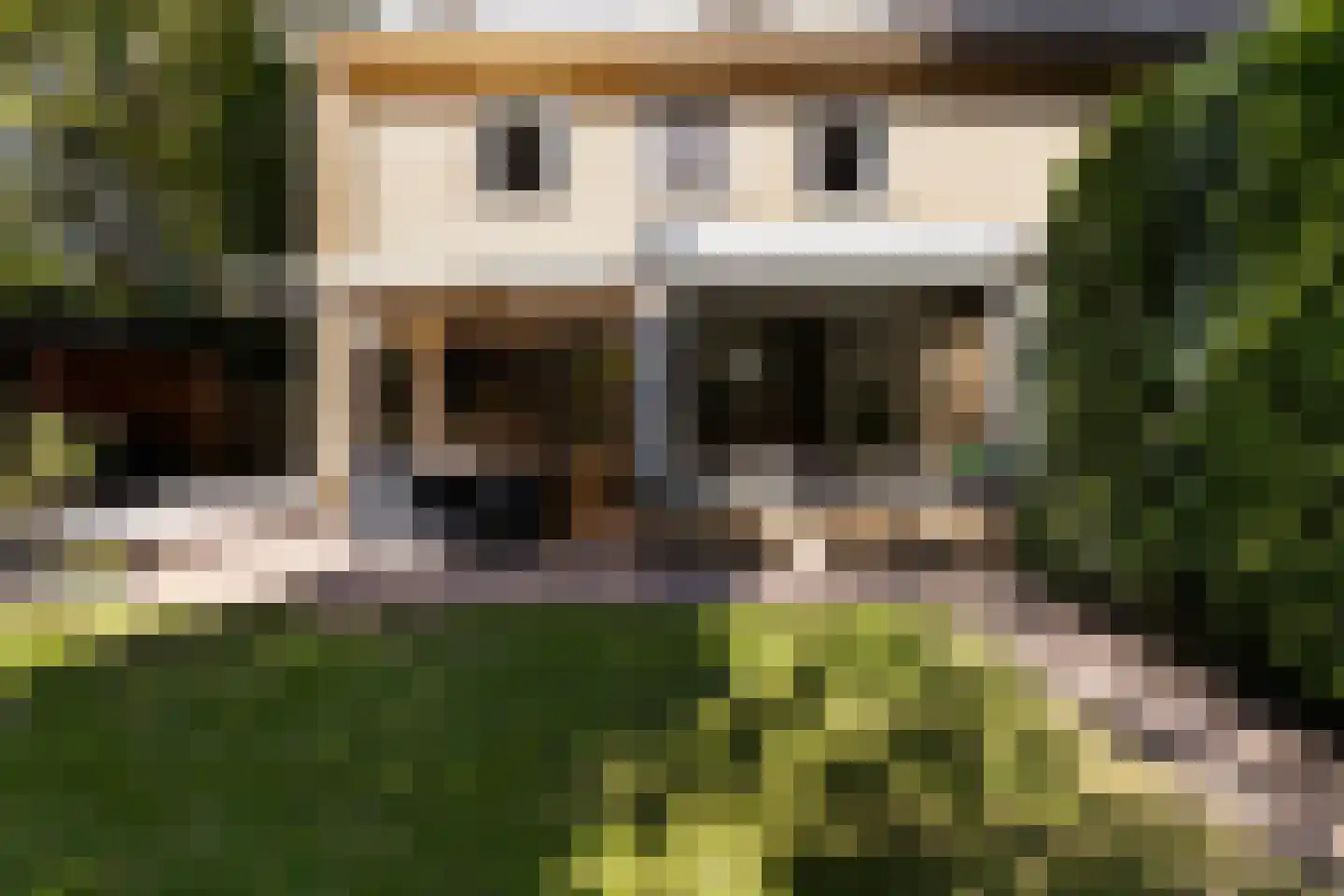 Schutsestraat 19 Prinsenbeek thumbnail 41