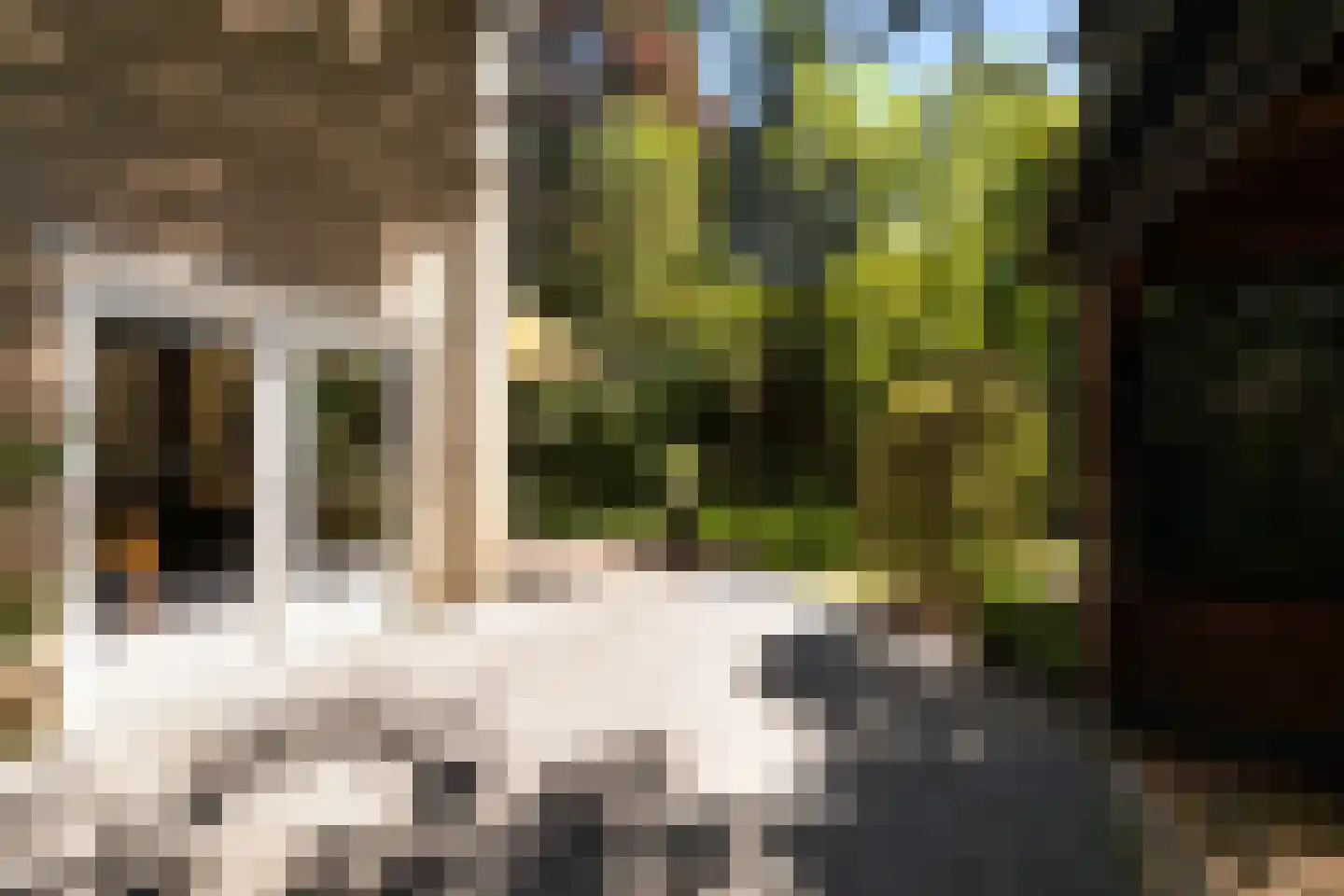 Schutsestraat 19 Prinsenbeek thumbnail 43