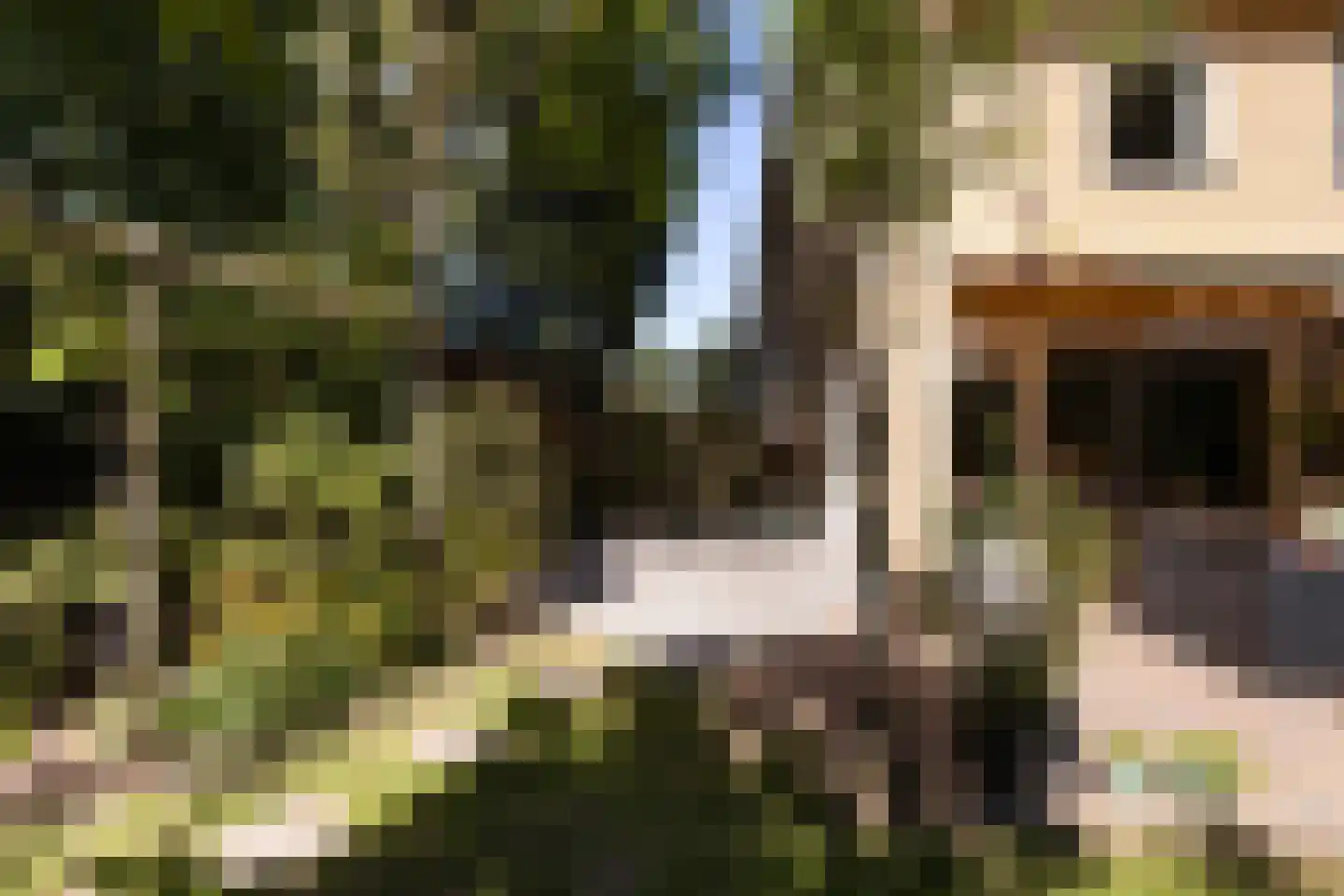 Schutsestraat 19 Prinsenbeek thumbnail 44