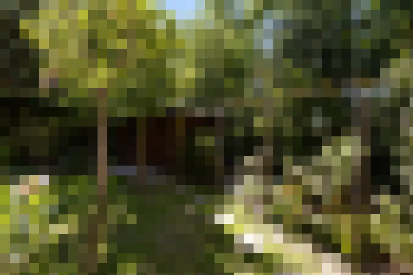 Schutsestraat 19 Prinsenbeek thumbnail 46
