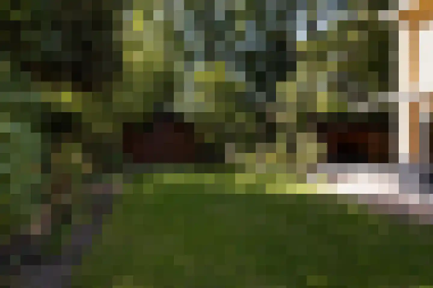 Schutsestraat 19 Prinsenbeek thumbnail 6