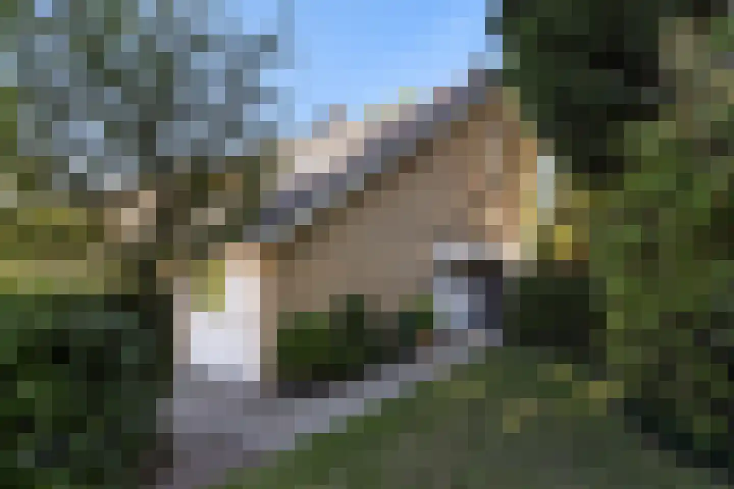 Schutsestraat 19 Prinsenbeek thumbnail 8
