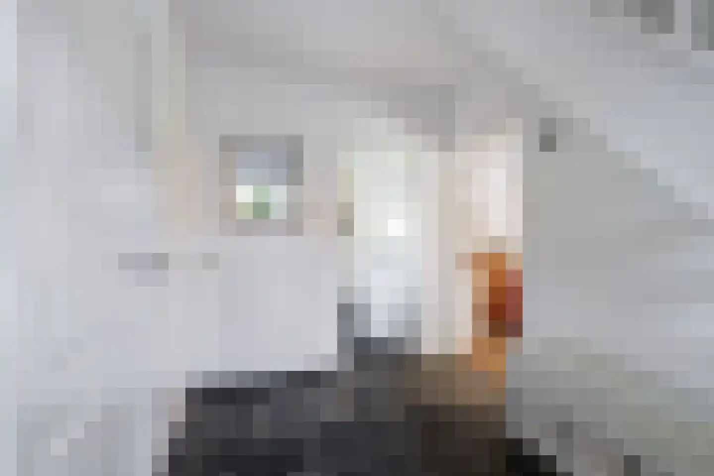 Schutsestraat 19 Prinsenbeek thumbnail 9