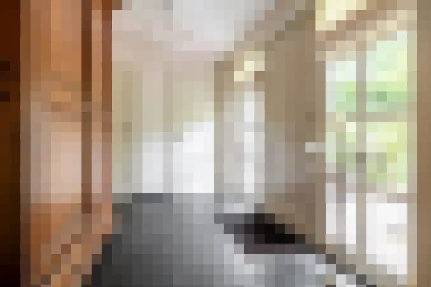 Schutsestraat 35 Prinsenbeek thumbnail 10