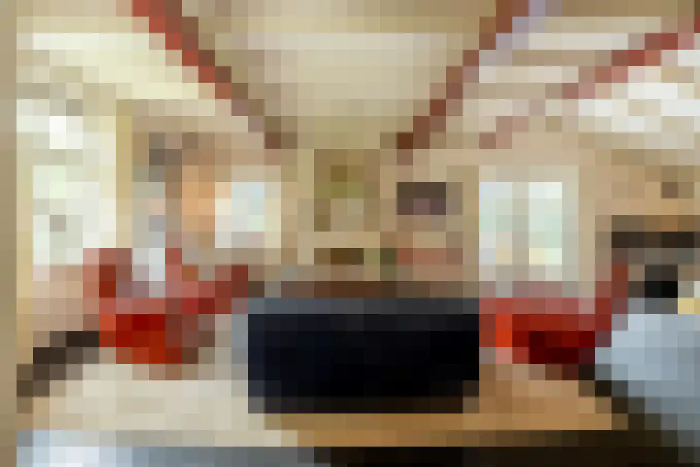 Schutsestraat 35 Prinsenbeek thumbnail 14