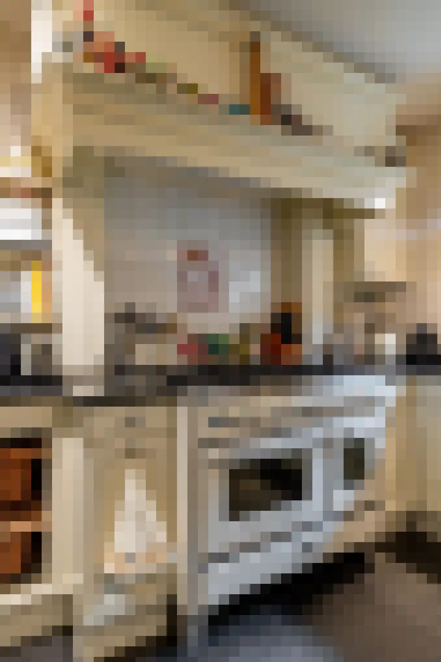 Schutsestraat 35 Prinsenbeek thumbnail 23