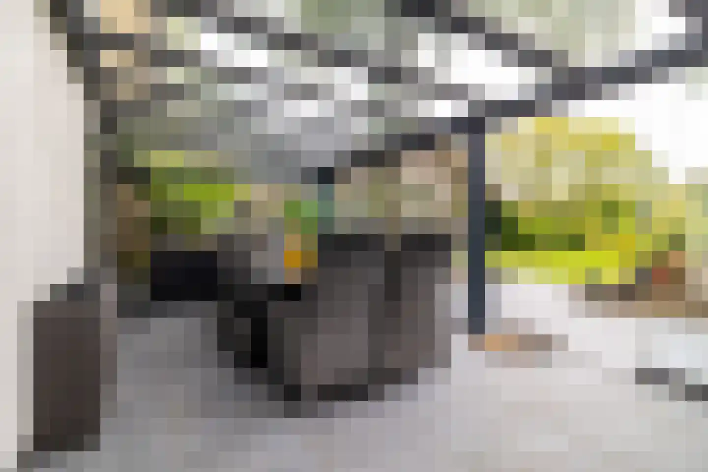 Schutsestraat 35 Prinsenbeek thumbnail 25