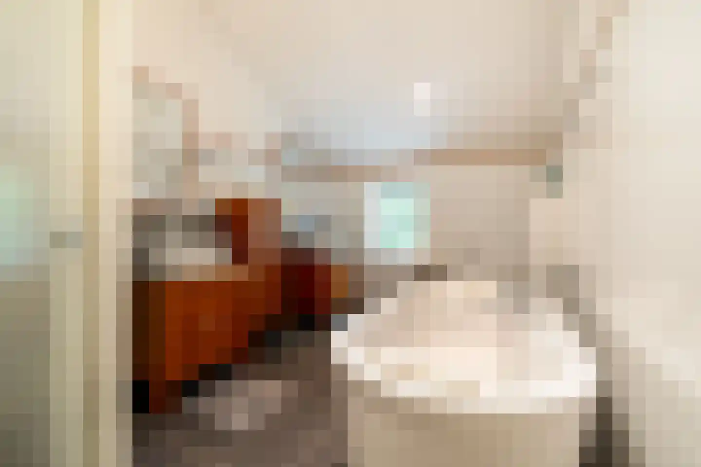 Schutsestraat 35 Prinsenbeek thumbnail 30