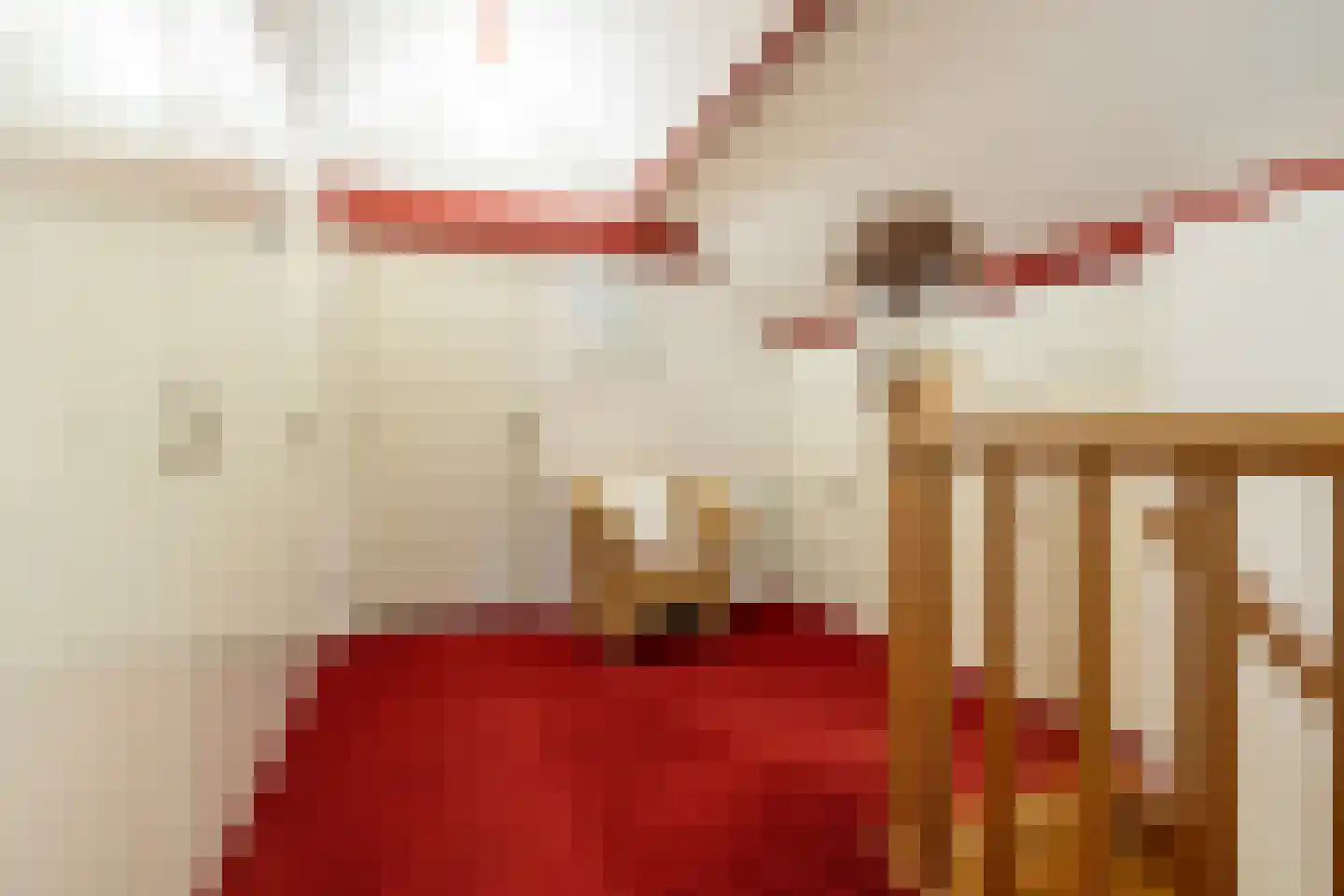 Schutsestraat 35 Prinsenbeek thumbnail 33