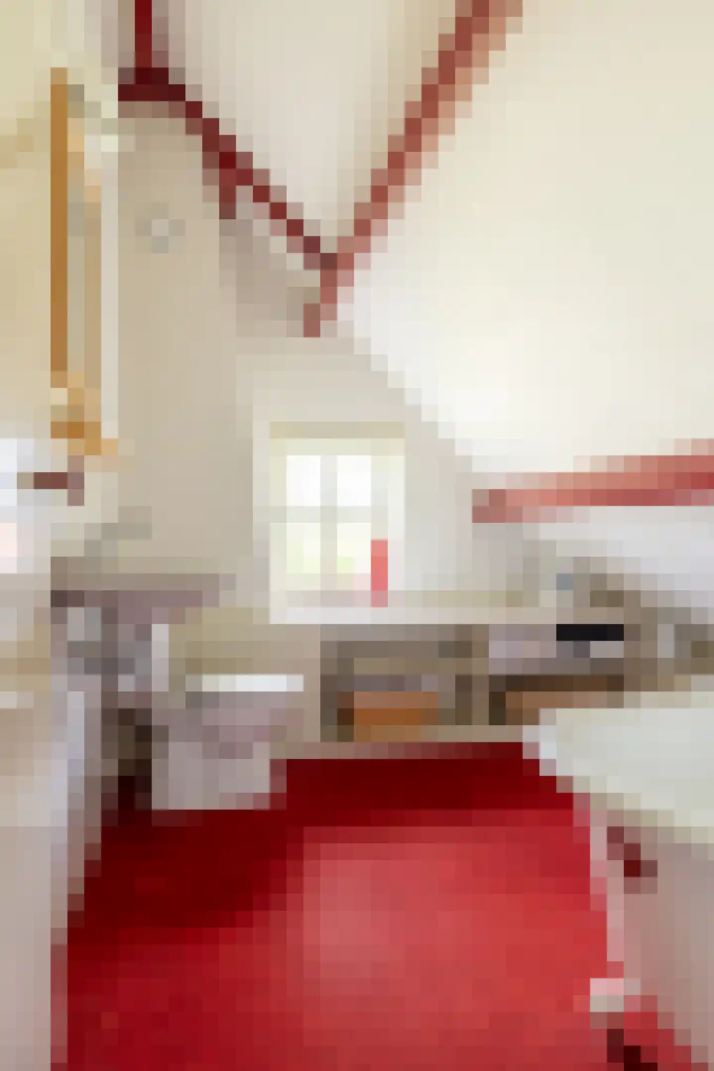 Schutsestraat 35 Prinsenbeek thumbnail 37