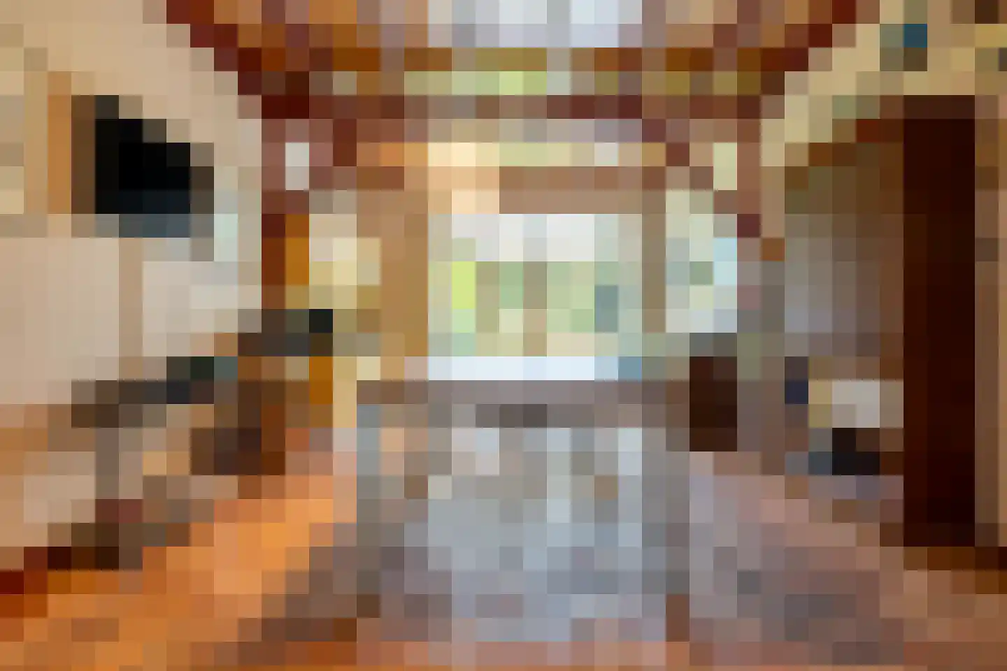 Schutsestraat 35 Prinsenbeek thumbnail 45