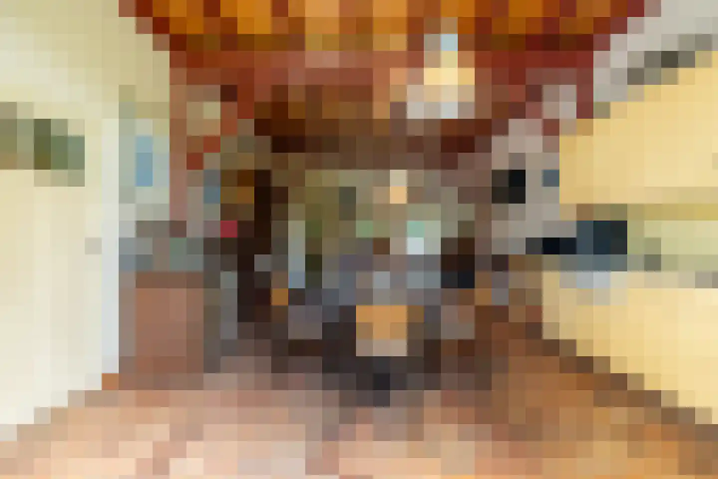 Schutsestraat 35 Prinsenbeek thumbnail 48