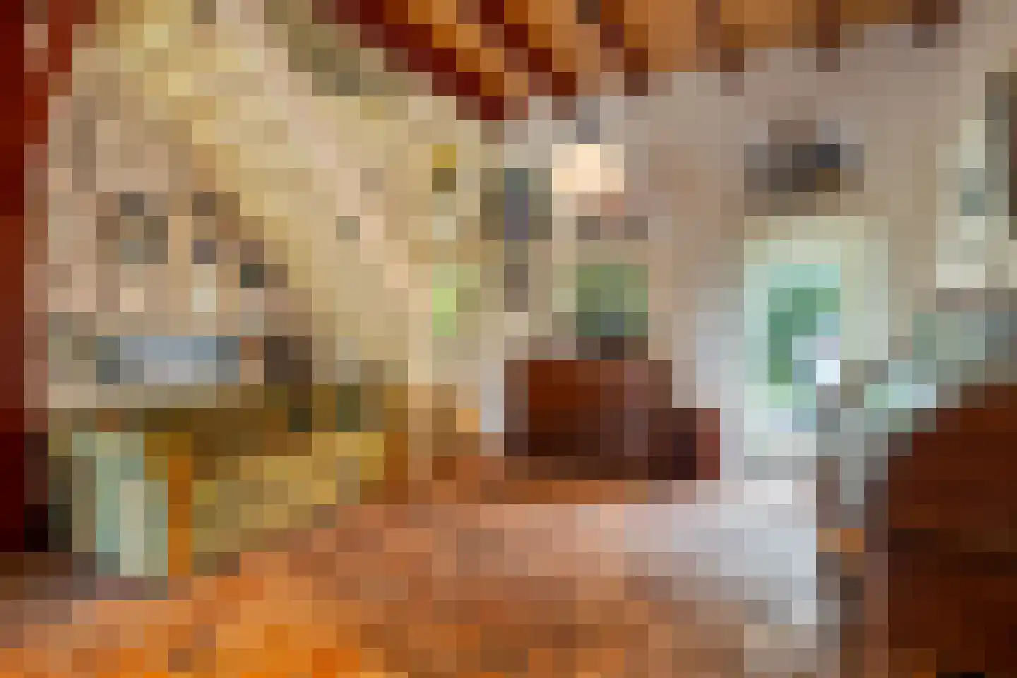 Schutsestraat 35 Prinsenbeek thumbnail 49