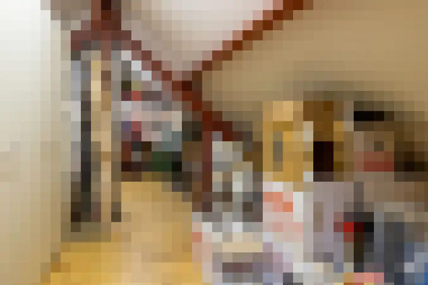Schutsestraat 35 Prinsenbeek thumbnail 50
