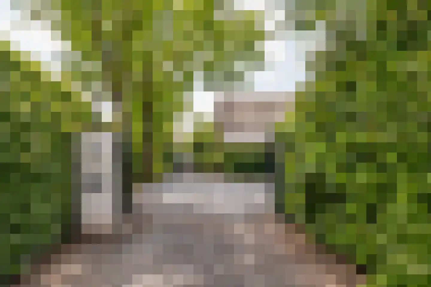 Schutsestraat 35 Prinsenbeek thumbnail 54