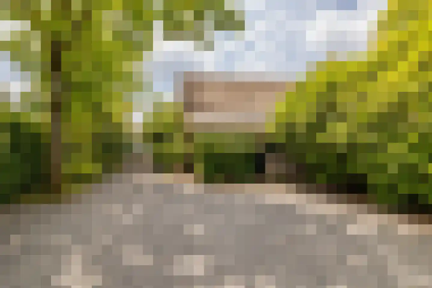 Schutsestraat 35 Prinsenbeek thumbnail 55