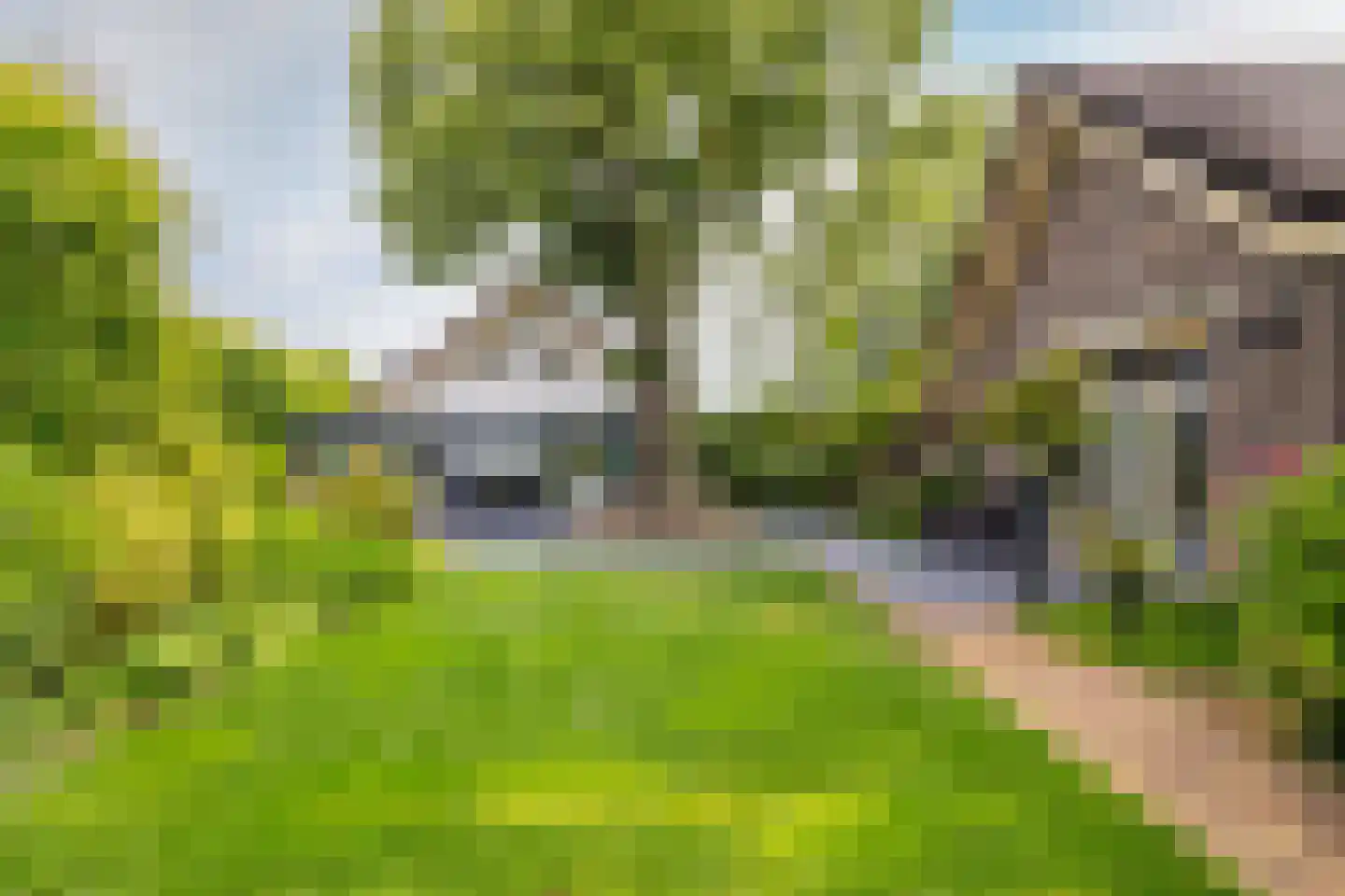 Schutsestraat 35 Prinsenbeek thumbnail 64