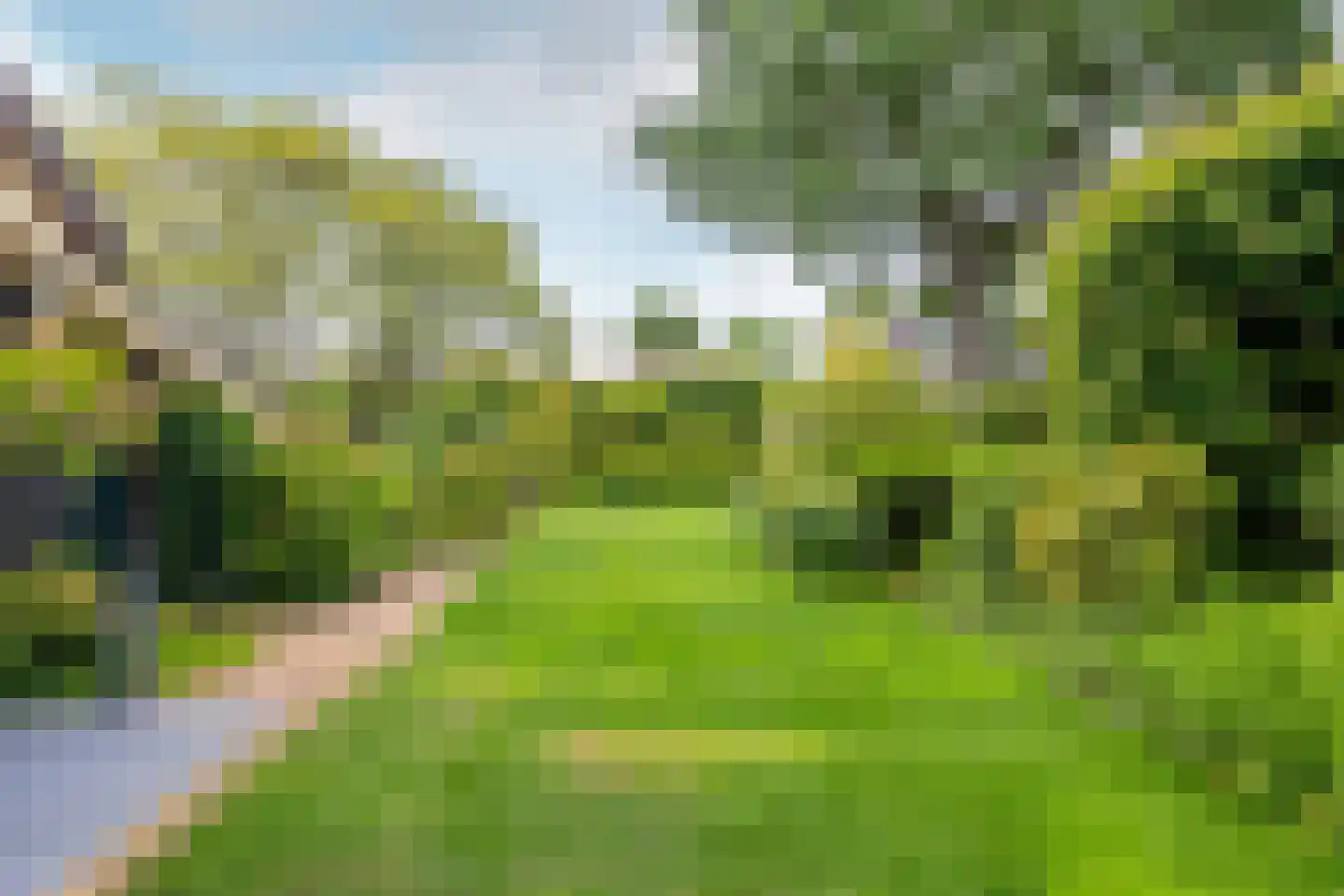 Schutsestraat 35 Prinsenbeek thumbnail 67