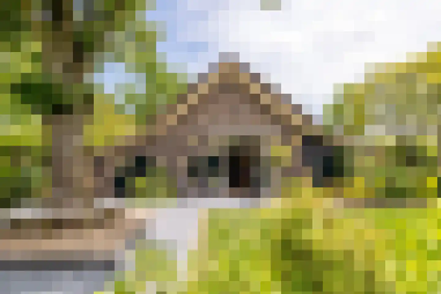 Schutsestraat 35 Prinsenbeek thumbnail 68