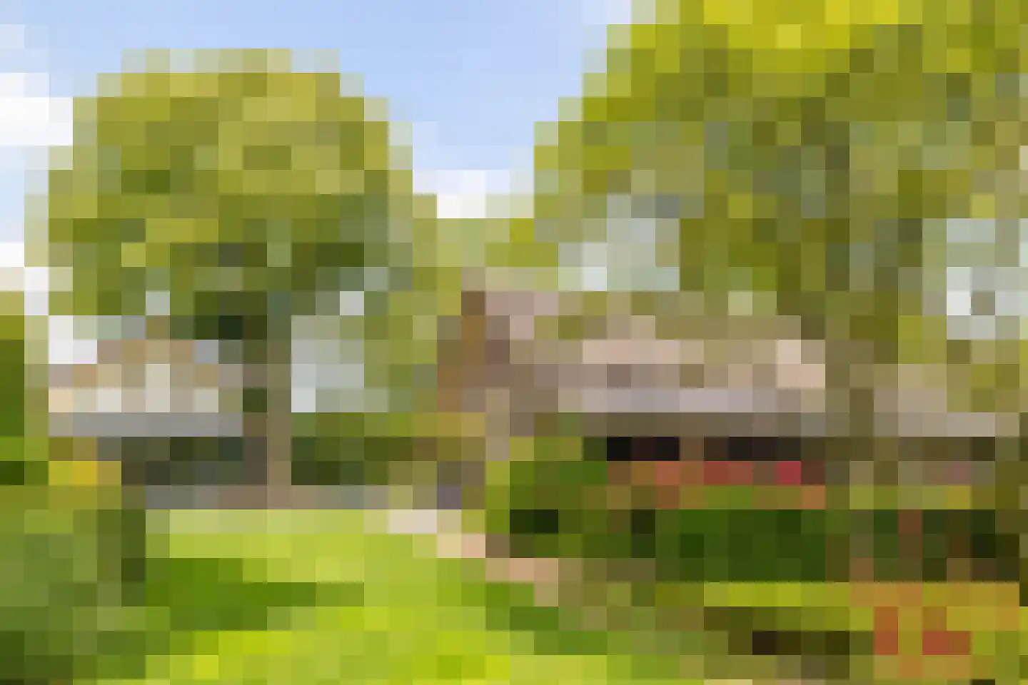 Schutsestraat 35 Prinsenbeek thumbnail 70