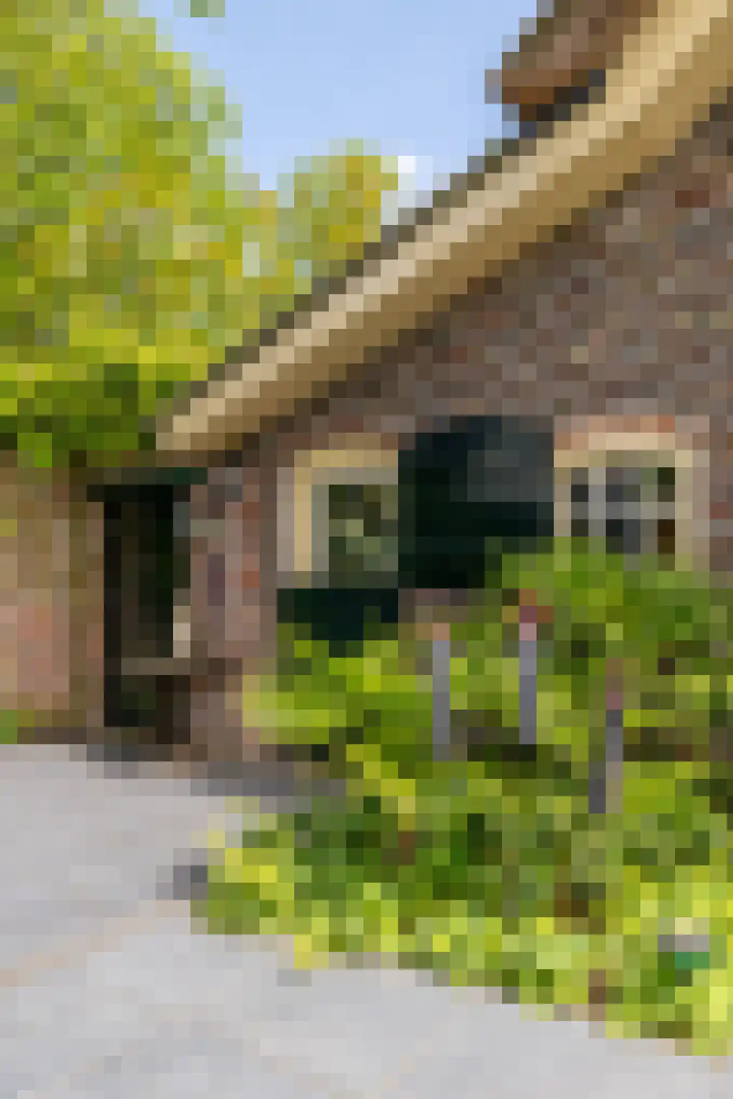 Schutsestraat 35 Prinsenbeek thumbnail 71