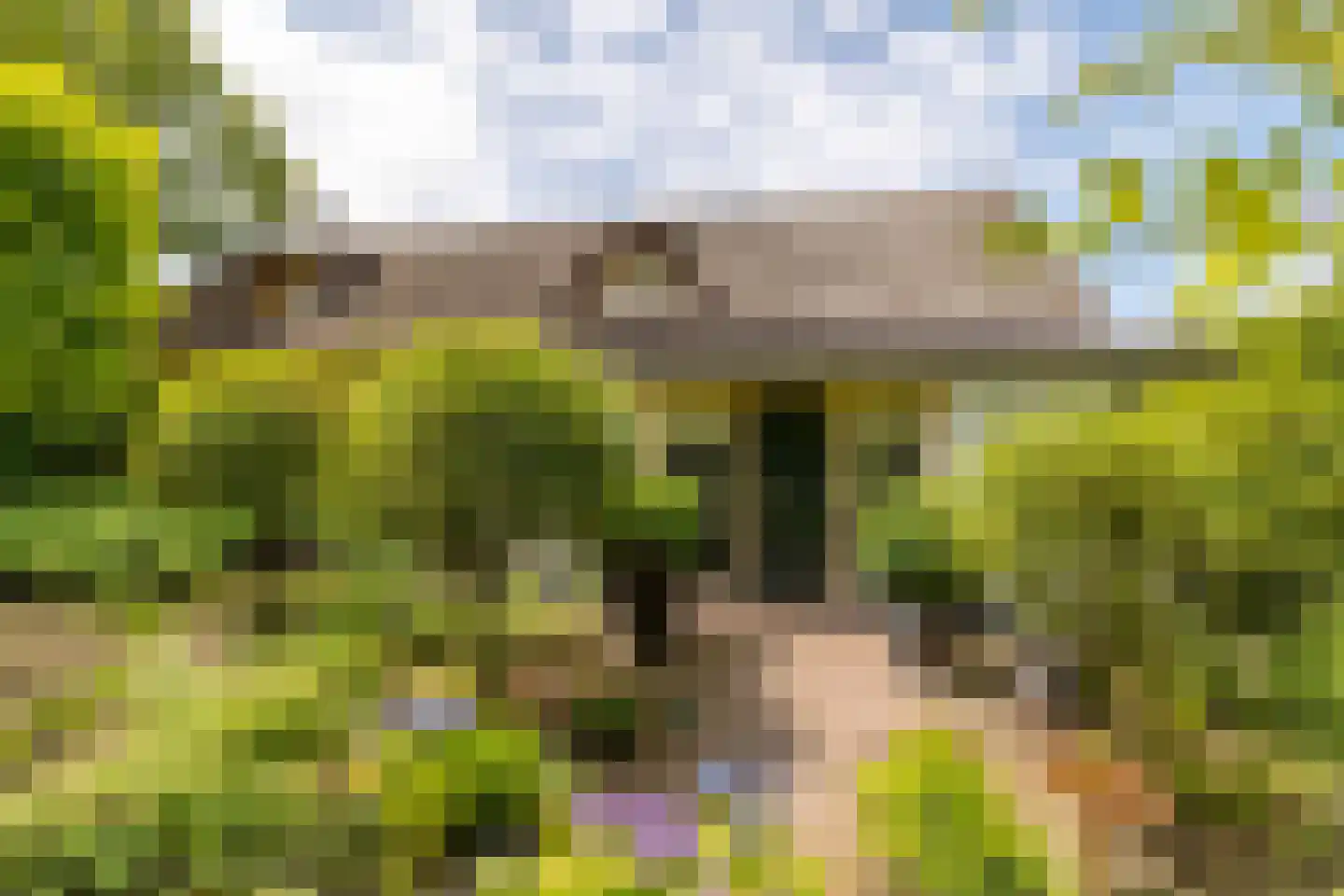 Schutsestraat 35 Prinsenbeek thumbnail 8