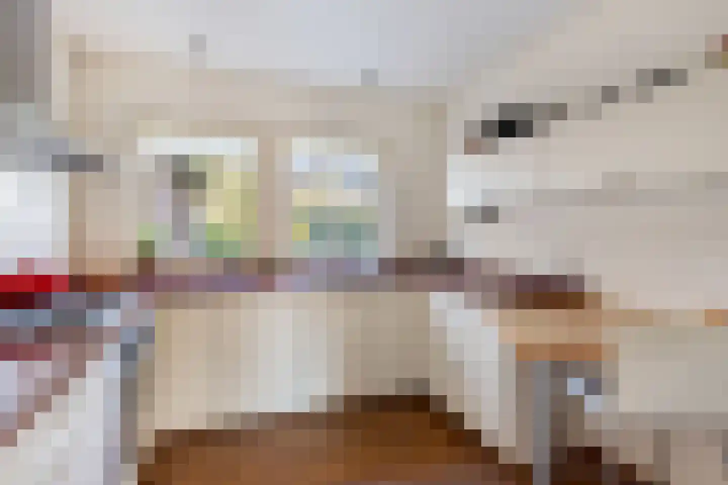 Schutsestraat 4 Prinsenbeek thumbnail 15