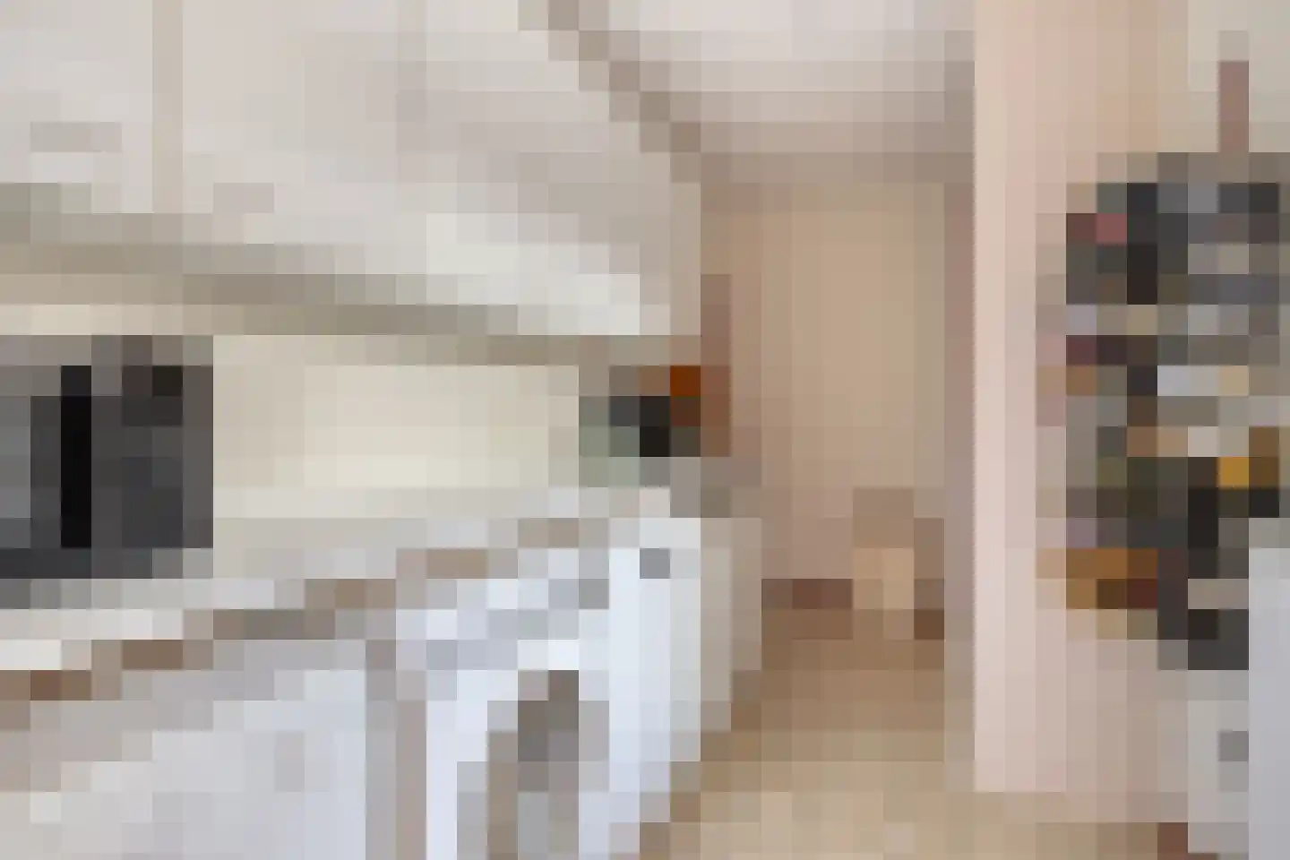 Schutsestraat 4 Prinsenbeek thumbnail 17