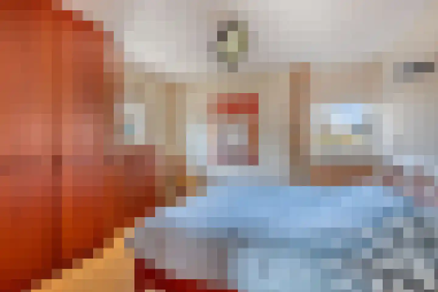 Schutsestraat 4 Prinsenbeek thumbnail 19