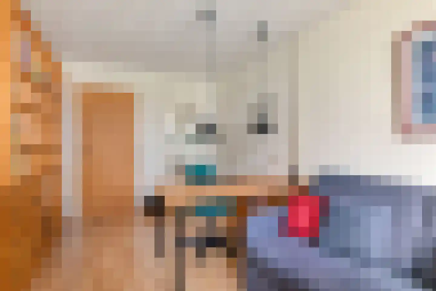 Schutsestraat 4 Prinsenbeek thumbnail 22