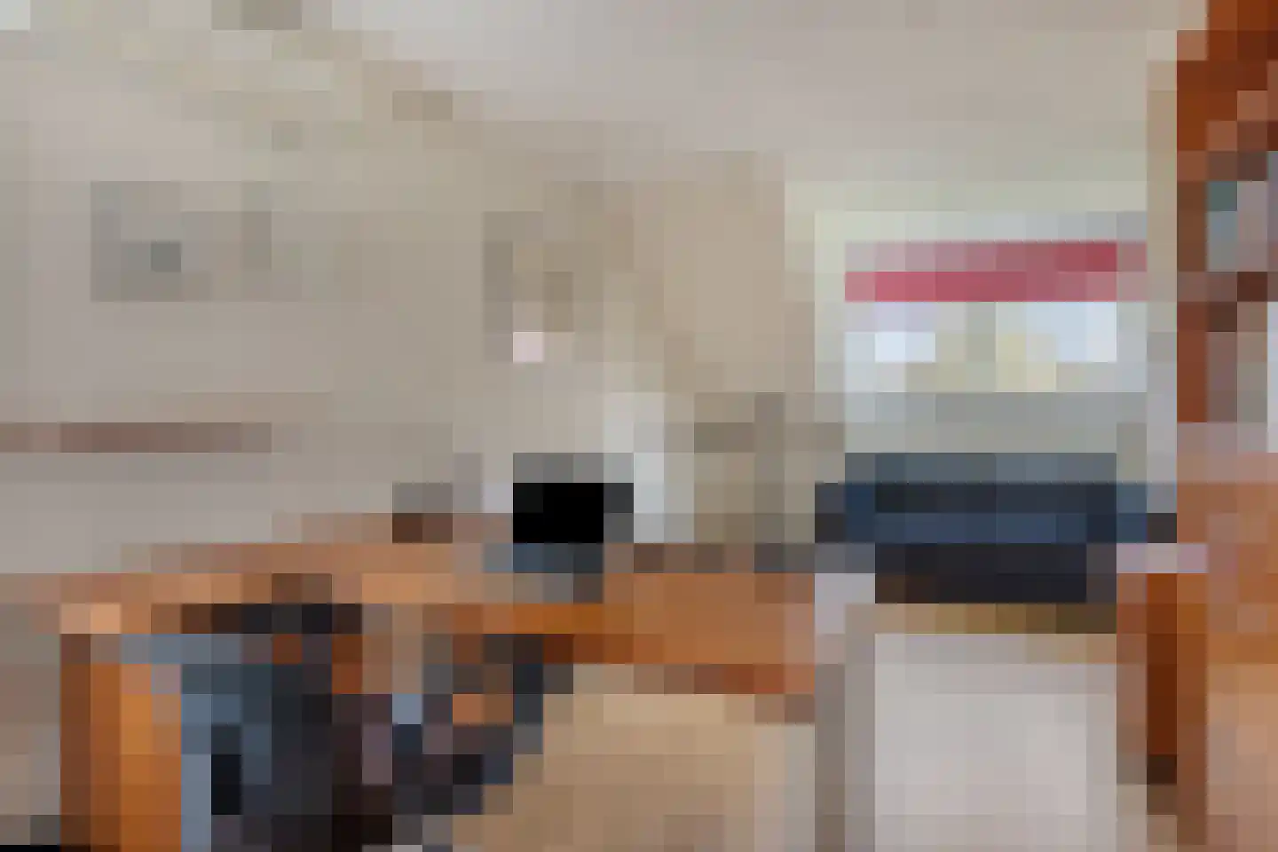 Schutsestraat 4 Prinsenbeek thumbnail 23