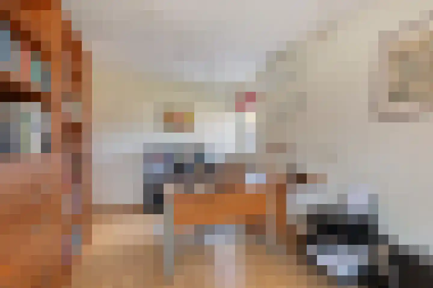 Schutsestraat 4 Prinsenbeek thumbnail 24