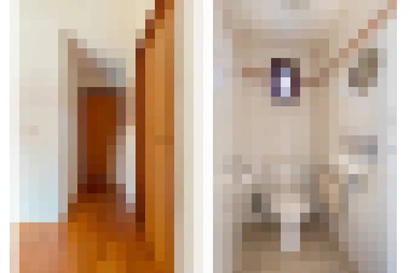 Schutsestraat 4 Prinsenbeek thumbnail 25