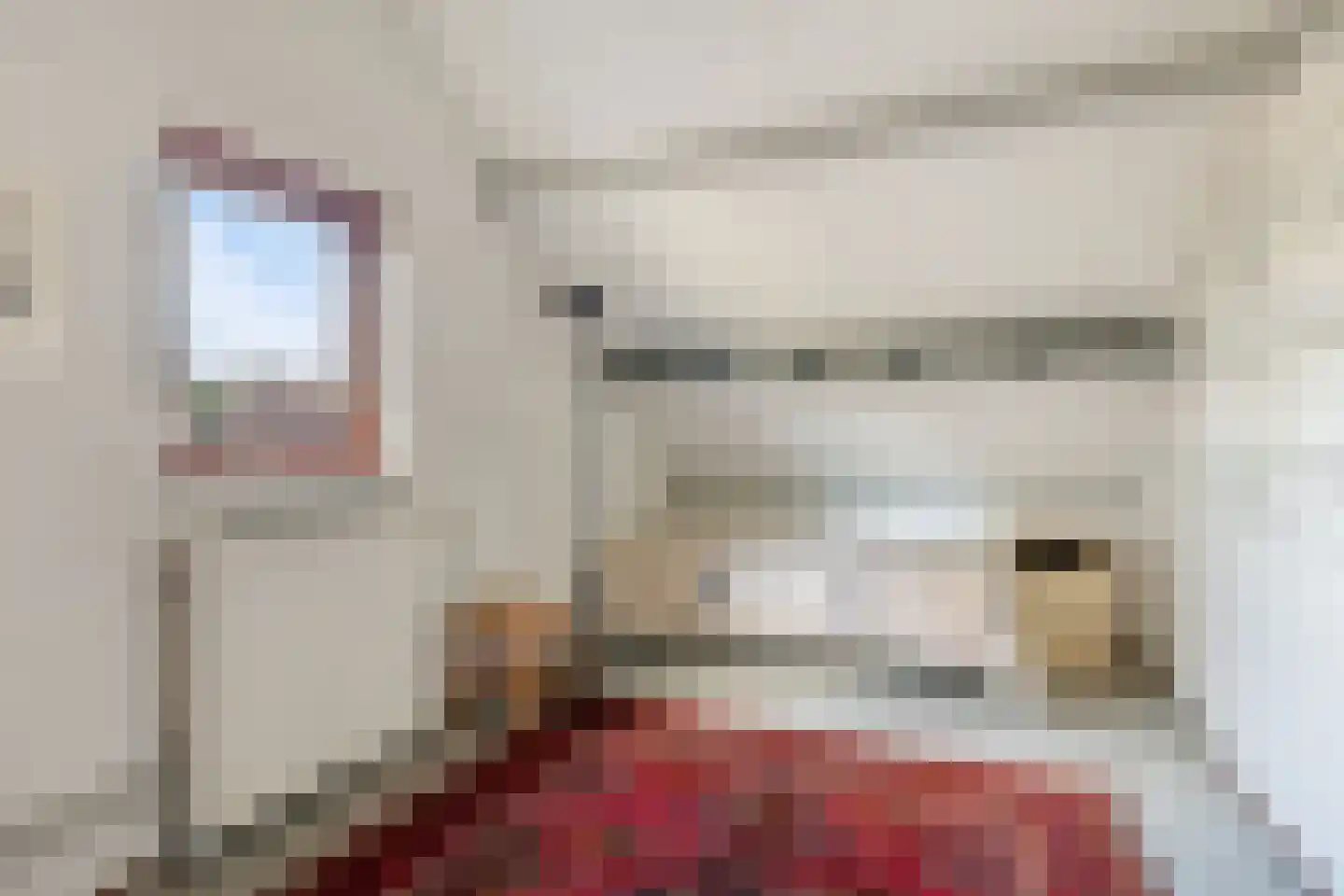 Schutsestraat 4 Prinsenbeek thumbnail 30