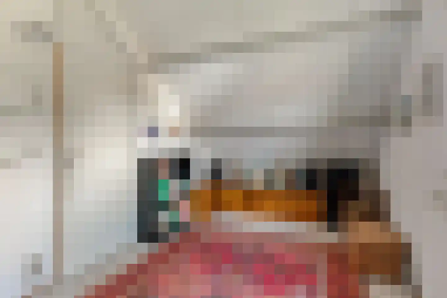 Schutsestraat 4 Prinsenbeek thumbnail 31