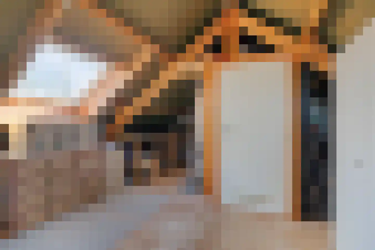 Schutsestraat 4 Prinsenbeek thumbnail 32