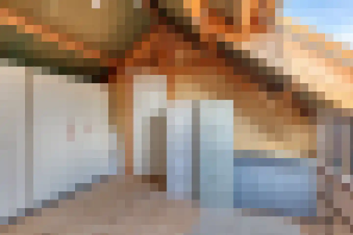 Schutsestraat 4 Prinsenbeek thumbnail 33