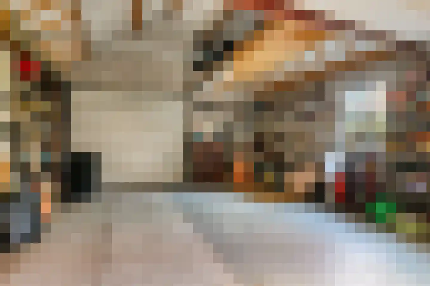 Schutsestraat 4 Prinsenbeek thumbnail 42