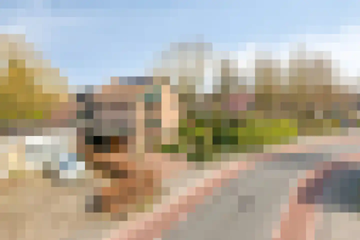 Schutsestraat 4 Prinsenbeek thumbnail 45