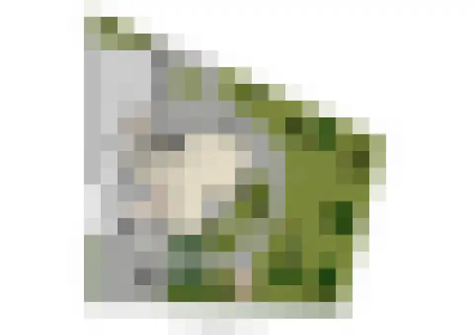 Schutsestraat 4 Prinsenbeek thumbnail 50