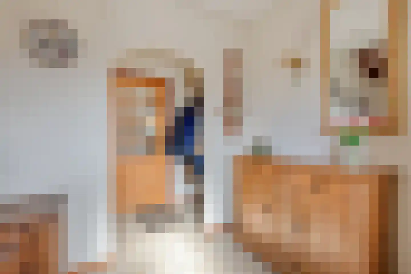 Schutsestraat 4 Prinsenbeek thumbnail 6